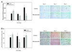 CD34 Antibody in Immunohistochemistry (IHC)