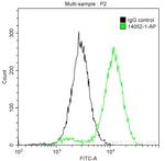 CDK6 Antibody in Flow Cytometry (Flow)