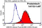 UBE2S Antibody in Flow Cytometry (Flow)