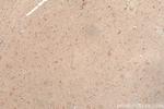 APC4 Antibody in Immunohistochemistry (Paraffin) (IHC (P))