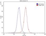 PTH2R Antibody in Flow Cytometry (Flow)