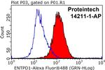 CD39/ENTPD1 Antibody in Flow Cytometry (Flow)