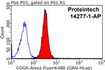 COG6 Antibody in Flow Cytometry (Flow)