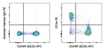 CD3e Monoclonal Antibody (145-2C11), PE, eBioscience™