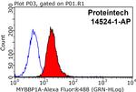MYBBP1A Antibody in Flow Cytometry (Flow)