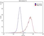 REEP5 Antibody in Flow Cytometry (Flow)