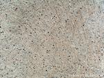 Plasmolipin Antibody in Immunohistochemistry (Paraffin) (IHC (P))