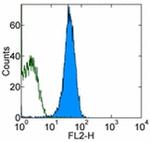 CD45 Monoclonal Antibody (30-F11), PE-Cyanine5, eBioscience™