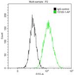 RABEPK/p40 Antibody in Flow Cytometry (Flow)