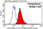 CA12 Antibody in Flow Cytometry (Flow)