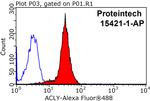 ATP citrate lyase Antibody in Flow Cytometry (Flow)