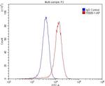 KISS1R Antibody in Flow Cytometry (Flow)