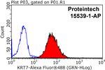 Cytokeratin 7 Antibody in Flow Cytometry (Flow)