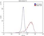 FCGR2A / CD32a Antibody in Flow Cytometry (Flow)