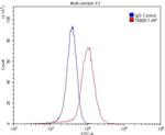 CADM3 Antibody in Flow Cytometry (Flow)