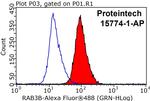 RAB3B Antibody in Flow Cytometry (Flow)