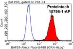 BAP29 Antibody in Flow Cytometry (Flow)
