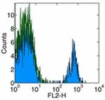CD180 (RP105) Monoclonal Antibody (MHR73-11), Functional Grade, eBioscience™