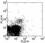 CD314 (NKG2D) Monoclonal Antibody (A10), Functional Grade, eBioscience™