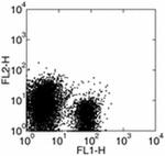 CD275 (B7-H2) Monoclonal Antibody (HK5.3), Functional Grade, eBioscience™