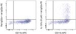 IL-12/IL-23 p40 Monoclonal Antibody (C17.8), Functional Grade, eBioscience™