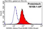 GS28 Antibody in Flow Cytometry (Flow)