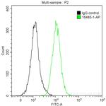 CDC25C Antibody in Flow Cytometry (Flow)