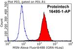 Moesin Antibody in Flow Cytometry (Flow)