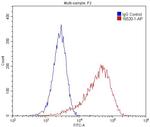 Desmin Antibody in Flow Cytometry (Flow)