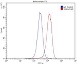 CD16 Antibody in Flow Cytometry (Flow)