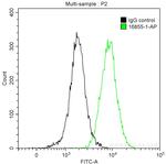 Cytokeratin 10 Antibody in Flow Cytometry (Flow)