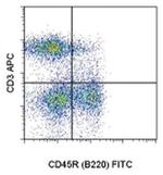 CD3 Monoclonal Antibody (eBioG4.18 (G4.18)), APC, eBioscience™