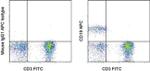 CD19 Monoclonal Antibody (SJ25C1), APC, eBioscience™