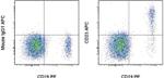 CD23 Monoclonal Antibody (EBVCS2), APC, eBioscience™