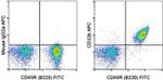 CD32b Monoclonal Antibody (AT130-2), APC, eBioscience™