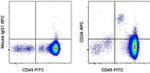 CD34 Monoclonal Antibody (4H11), APC, eBioscience™