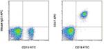 CD37 Monoclonal Antibody (MB-1), APC, eBioscience™