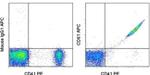 CD61 (Integrin beta 3) Monoclonal Antibody (VI-PL2), APC, eBioscience™