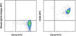 CD66 Monoclonal Antibody (CD66a-B1.1), APC, eBioscience™