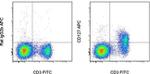CD127 Antibody in Flow Cytometry (Flow)
