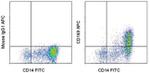 CD169 (Siglec-1) Monoclonal Antibody (7-239), APC, eBioscience™