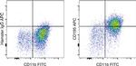 CD195 (CCR5) Monoclonal Antibody (HM-CCR5 (7A4)), APC, eBioscience™