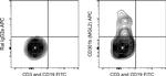 CD301b (MGL2) Monoclonal Antibody (11A10-B7), APC, eBioscience™