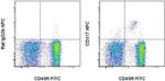 CD317 (BST2, PDCA-1) Monoclonal Antibody (eBio129c (129c)), APC, eBioscience™