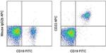 CD22 Monoclonal Antibody (S-HCL-1), APC, eBioscience™