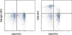 CD8a Antibody in Flow Cytometry (Flow)