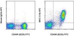 MHC Class II I-Ab Monoclonal Antibody (AF6-120.1), APC, eBioscience™