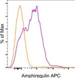 Amphiregulin Monoclonal Antibody (AREG559), APC, eBioscience™