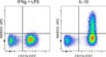 MARCO Monoclonal Antibody (PLK-1), APC, eBioscience™