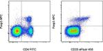 FOXP3 Monoclonal Antibody (FJK-16s), APC, eBioscience™